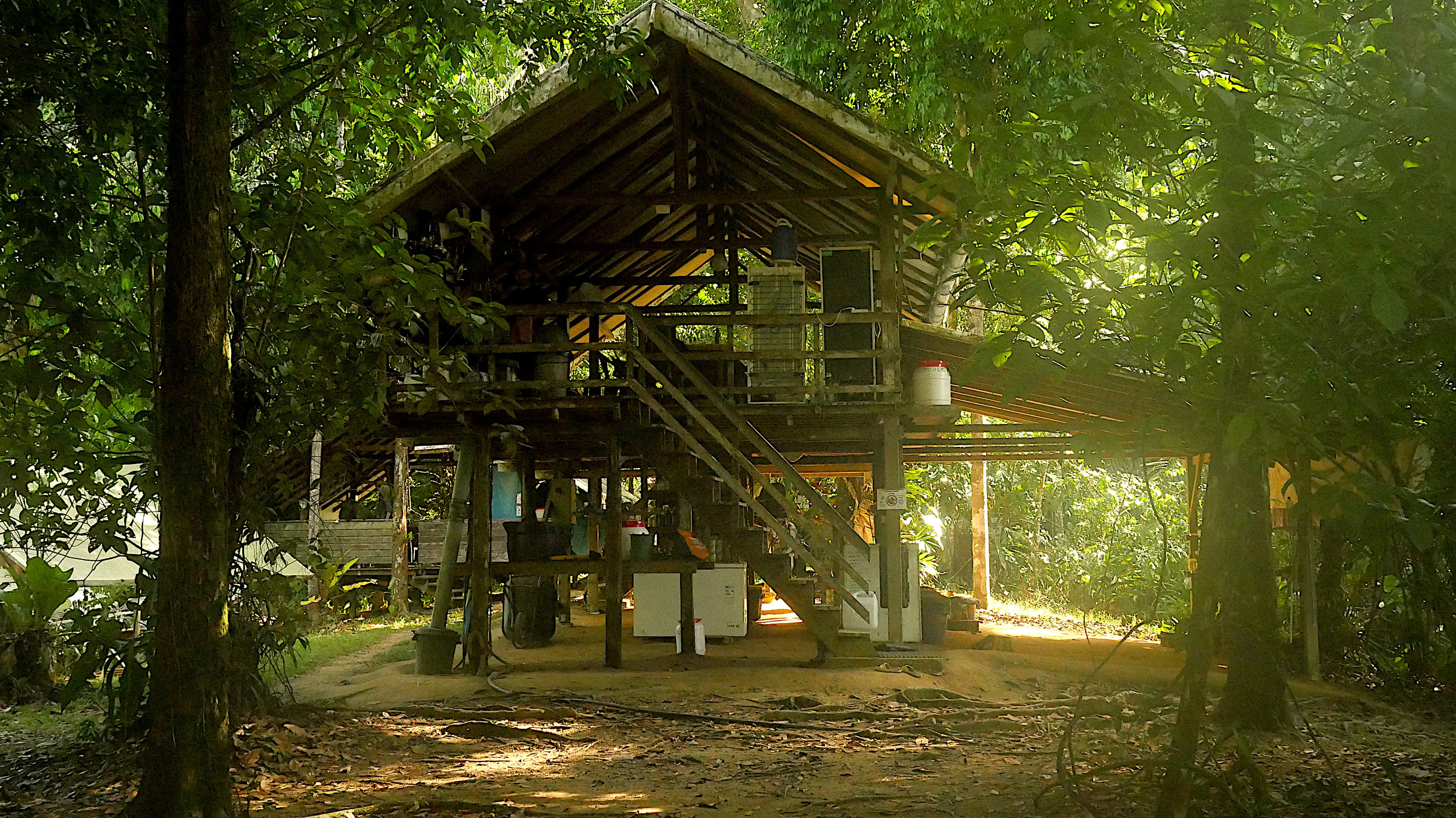 Station de recherche des Nouragues, site d'Inselberg 